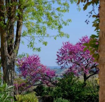 Limoux Apartamento | Gîte - Holiday Home Vent Autan