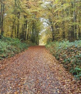 Mediere Apartamento | gîte Les Coquelicots