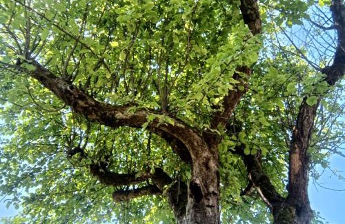 Baume-les-Dames Apartamento | Gîte les Dames du Quint 3 étoiles