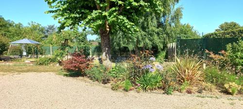 Boulleret Casa | Gîte les Hortensias