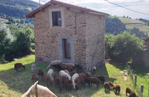 Saint-Chamond Casa | Gîte rénové avec terrasse panoramique et tout confort à Saint-Chamond, proche Saint-Étienne et Lyon - FR-1-496-324