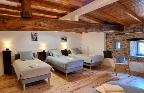 Saint-Denis-sur-Coise Casa | Gîte spacieux 10 pers, Monts du Lyonnais, spa et jardin - FR-1-496-358