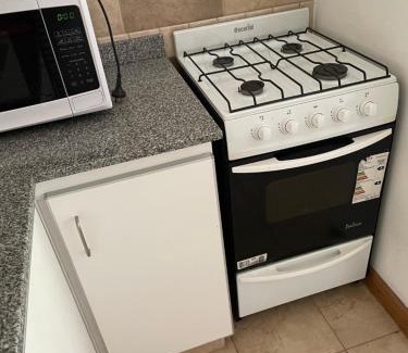 General Roca Apartamento | Gadano Suites