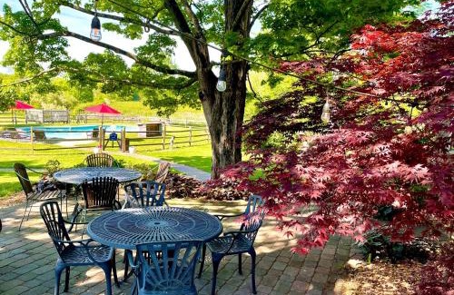 Pipersville Cama Y Desayuno | Galvanized America Inn & Art Gallery