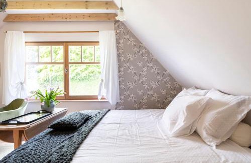 Sint-Andries Cama Y Desayuno | Gastenverblijf in Belle epoque woning