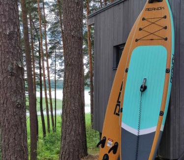Gauja Apartamento | GaujaClub - our BOSE and Bang&Olufsen lofts on a lake