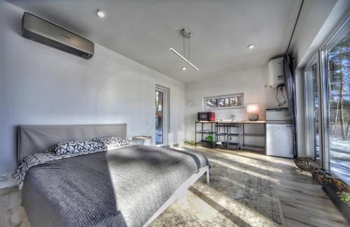 Gauja Apartamento | GaujaClub - our BOSE and Bang&Olufsen lofts on a lake