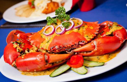 Cuvu Complejo | Gecko's Resort