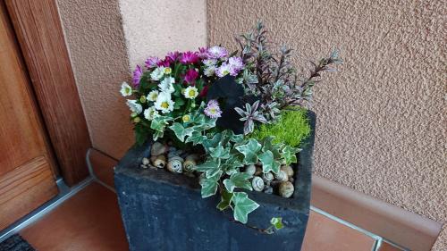 Rottbach Apartamento | Gemütliche Ferienwohnung am Ortsrand