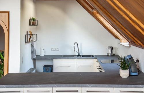 Biberach an der Riss Apartamento | Gemütliche Galerie-Wohnung in Biberach