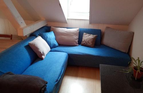 St. Gallen Casa | Gemütliches Dach-Zimmer