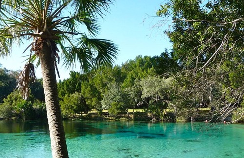 Seville Casa | Get Ready for Adventure! Close to Daytona Beach's Boar! Free Parking