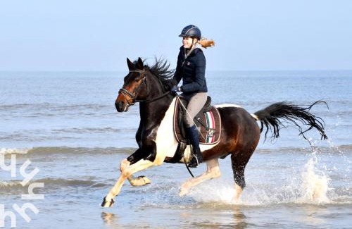 Aagtekerke Casa | Gezellige 6-persoons vakantiewoning vlakbij het strand in Domburg op Ponyhof Aagtekerke