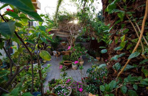 Neve Zohar Casa | Gil's Guest Rooms