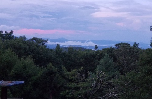Newland Cabina | Gingercake Acres- Al lado del desierto de Linville Gorge. ¡Mascota amigable!