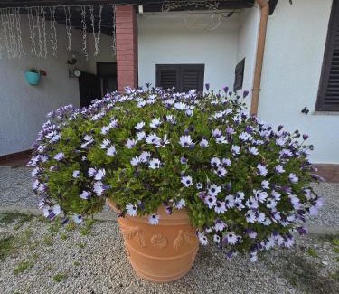 Santa Maria La Palma Apartamento | Giro'