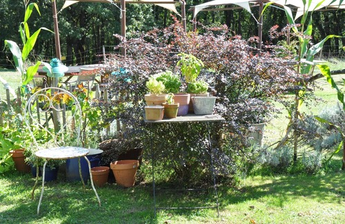 Tremolat Casa | Albergue 4 pers. Dordogne rodeado de árboles y cerca de una posada tradicional