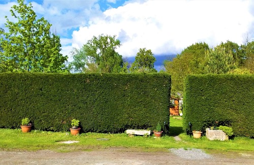 Bernardswiller Cabaña | GITE DE LA SECKMATT IN FULL NATURE 8 PEOPLE