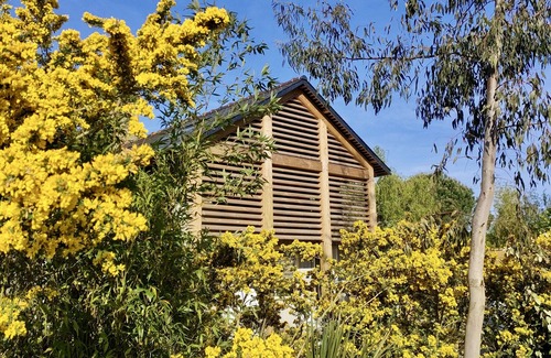 Tremereuc Cabaña | Gite hotel in the heart of nature, destination Mont St Michel-St Malo. Pets allowed