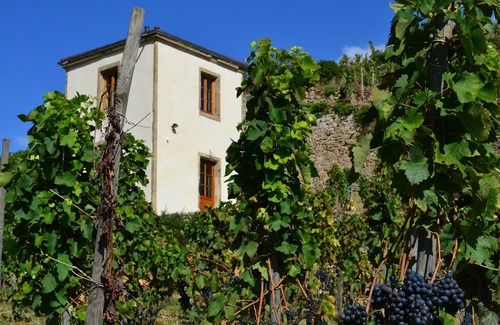 Tain-l'Hermitage Casa | El Pabellón Torre de la casa en el corazón de la viña Hermitage
