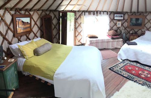 Kenepuru Head Cama Y Desayuno | La experiencia ecológica de Glam Camping en Sounds Paradise.