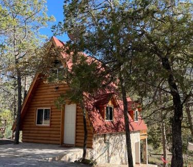 Arteaga Otro | Glamping MORET Cabaña Alpina M2