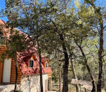 Arteaga Otro | Glamping MORET Cabaña Alpina M2