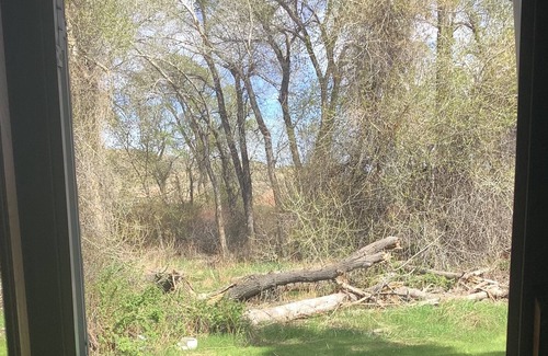 Worland Casa | Glamping on the Paintrock