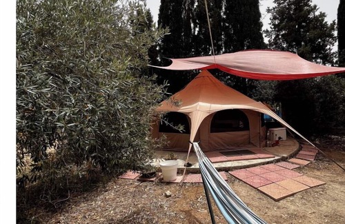 Quartu Sant'Elena Alquiler De RV | Glamping tent among olive trees In Our Garden Sardinia