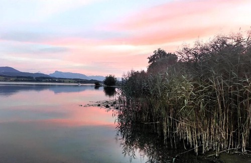 Seekirchen am Wallersee Casa | Glamping Wallersee - Unter dem Kastanienbaum