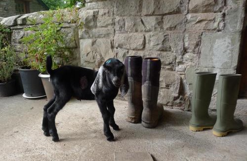 Westbrook Court Apartamento | Glanwye