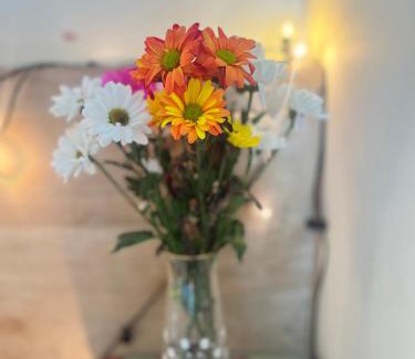 Cambridge Casa | Golden House