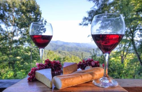 Bryson City Casa | Goldies Hideaway