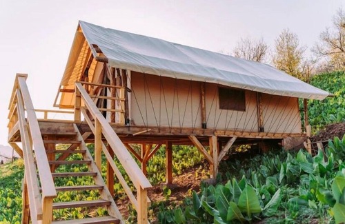 Besqaynar Chalet De Esquí | Gora Glamping