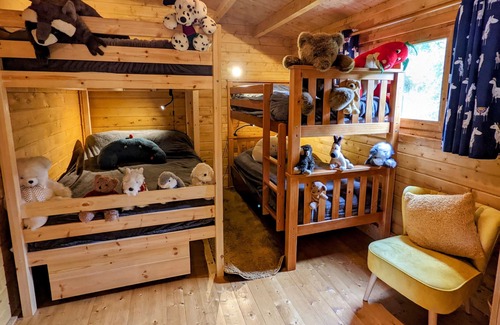 Llanfairpwllgwyngyll Cabina | Gorgeous green log cabin at one with nature on Isle of Anglesey