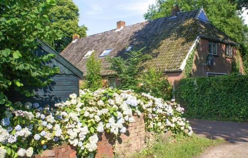 Diever Casa | Gorgeous Home In Diever With Wifi