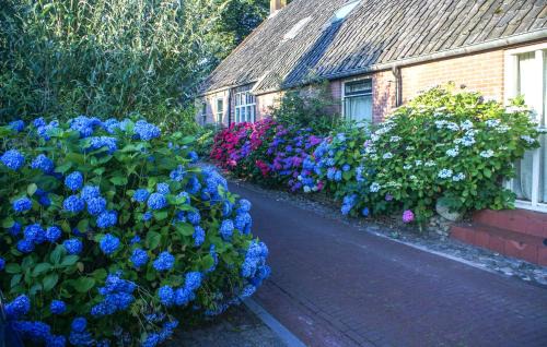 Diever Casa | Gorgeous Home In Diever With Wifi