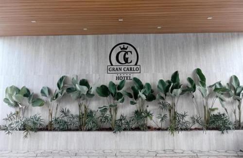 Taubate Hotel | Gran Carlo Hotel