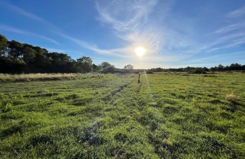 Castries Apartamento | Grand appartement en pleine nature et proche mer !