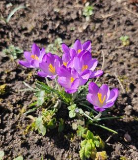 Nervieux Villa | Grande maison idéale réunions familiales