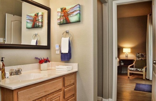 Austin Apartamento | GRANDPARENTS! Come stay with us to visit your family and friends!