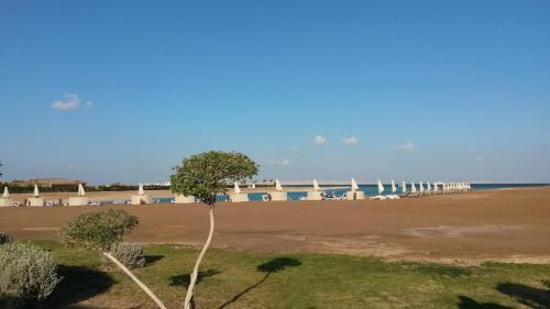 Al Mamsha El Seyahi Apartamento | Gravity Hotel - Samra Bay - A luxury studio apartment just for you