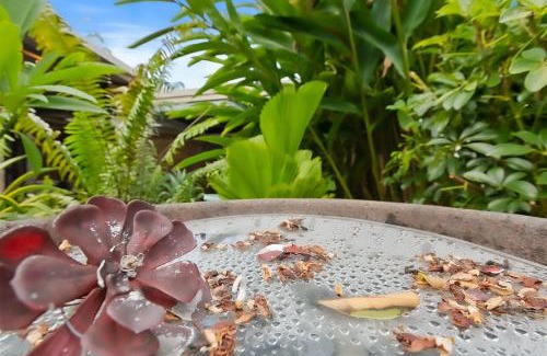 Trinity Beach Casa | Green Cottage