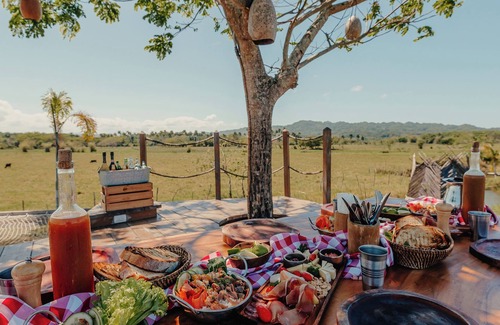 Sabaneta de Yasica Alquiler De RV | Green Land Bubble Glamping By Mint