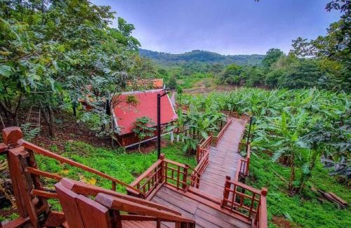 Sen Monorom Complejo | Greenhouse Retreat