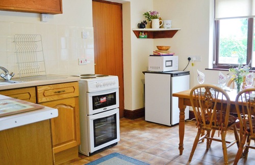 Llansantffraed Cabaña | Greenmeadow Bungalow