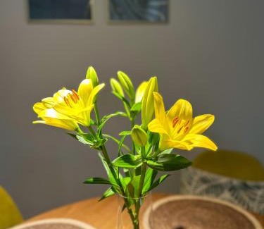 Przemysl Apartamento | Greenside SunPark Apartament