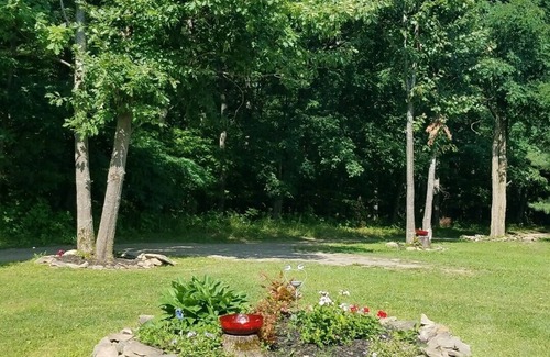 Branchport Cabina | La región de Grey's Getaway Cabin s Finger Lake, ¡Impresionante follaje de otoño!