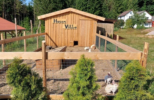 Waldmuenchen Apartamento | Große Ferienwohnung für bis zu 10 Personen mit Balkon