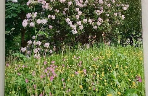 Truro Apartamento | Guest house Truro garden retreat